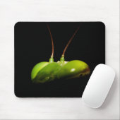 Prachtige mantis muismat (Met muis)