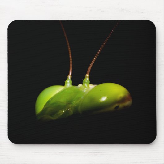 Prachtige mantis muismat (Voorkant)