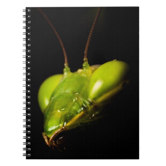 Prachtige mantis notitieboek (Voorkant)