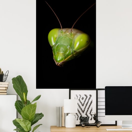 Prachtige mantis poster (Thuiskantoor)