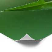 Prachtige mantis poster (Hoek)