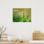 Prachtige mantis poster (Keuken)