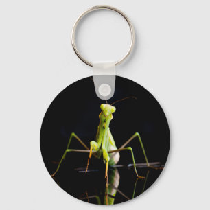 Prachtige mantis sleutelhanger