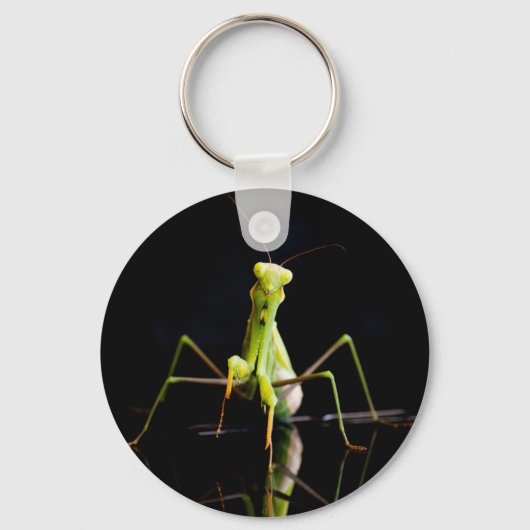 Prachtige mantis sleutelhanger (Voorkant)