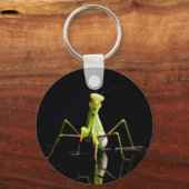 Prachtige mantis sleutelhanger (Voorkant)