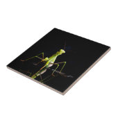 Prachtige mantis tegeltje (Zijkant)