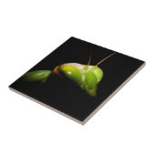 Prachtige mantis tegeltje (Zijkant)