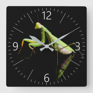 Prachtige mantis vierkante klok