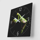 Prachtige mantis vierkante klok (Hoek)