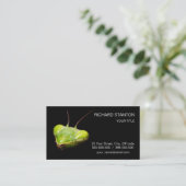 Prachtige mantis visitekaartje (Staand voorkant)
