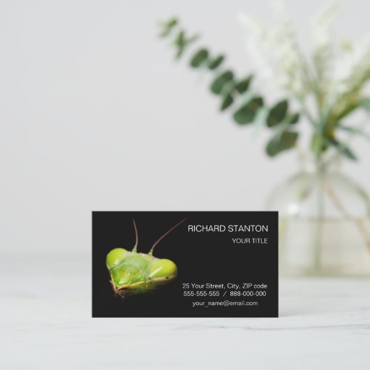 Prachtige mantis visitekaartje (Staand voorkant)