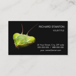 Prachtige mantis visitekaartje
