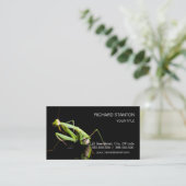 Prachtige mantis visitekaartje (Staand voorkant)