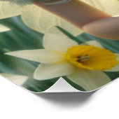 Prachtige March Fairy in narcissen Perfect Poster (Hoek)