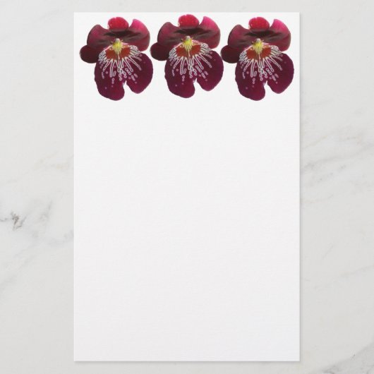 Prachtige Maroon Orchideeën II Briefpapier (Voorkant)