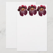 Prachtige Maroon Orchideeën II Briefpapier (Voorkant / Achterkant)