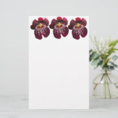 Prachtige Maroon Orchideeën II Briefpapier (Staand voorkant)
