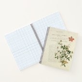 Prachtige miniaturen: Rosa indica pumila Notitiebo Notitieboek (Binnen)