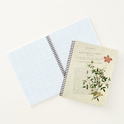 Prachtige miniaturen: Rosa indica pumila Notitiebo Notitieboek (Binnen)