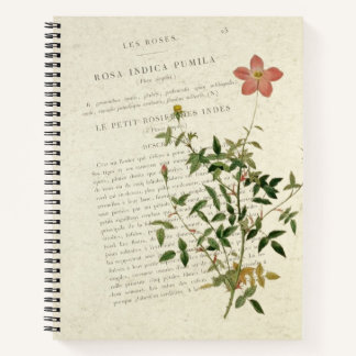 Prachtige miniaturen: Rosa indica pumila Notitiebo Notitieboek