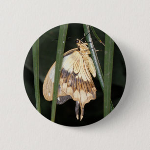 Prachtige Moth-Button Ronde Button 5,7 Cm