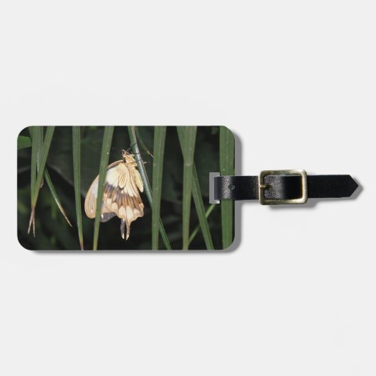 Prachtige Moth Custom Bagage Label (Voorkant horizontaal)