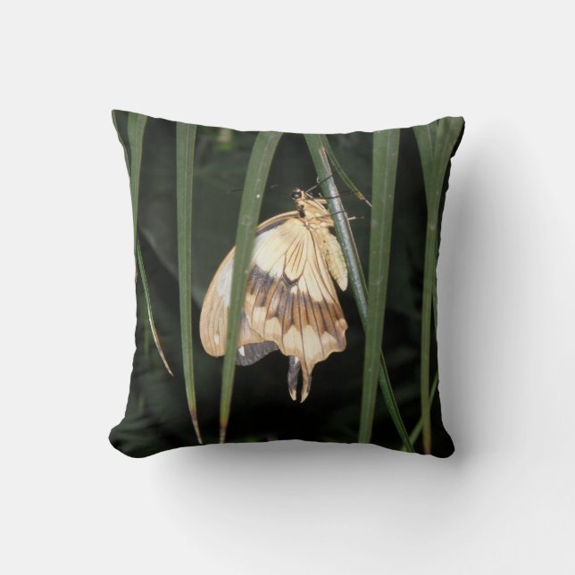 Prachtige Moth Pillow Kussen (Voorkant)