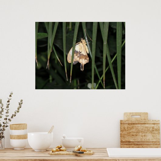 Prachtige Moth Print (Keuken)