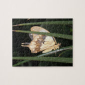 Prachtige Moth Puzzle Legpuzzel (Horizontaal)