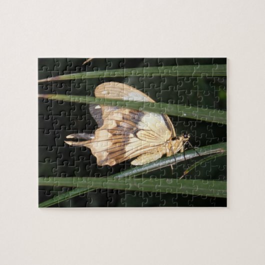 Prachtige Moth Puzzle Legpuzzel (Horizontaal)