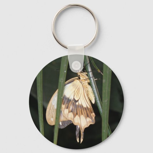 Prachtige Moth-Sleutelhanger Sleutelhanger (Voorkant)