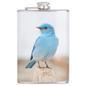 Prachtige Mountain Bluebird op strandstronk Heupfles (Voorkant)