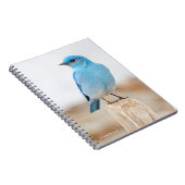 Prachtige Mountain Bluebird op strandstronk Notitieboek (Rechterzijde)