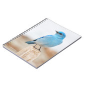 Prachtige Mountain Bluebird op strandstronk Notitieboek (Linkerzijde)