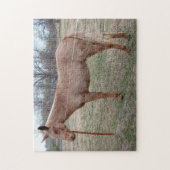 Prachtige muilezel! Puzzel (Verticaal)