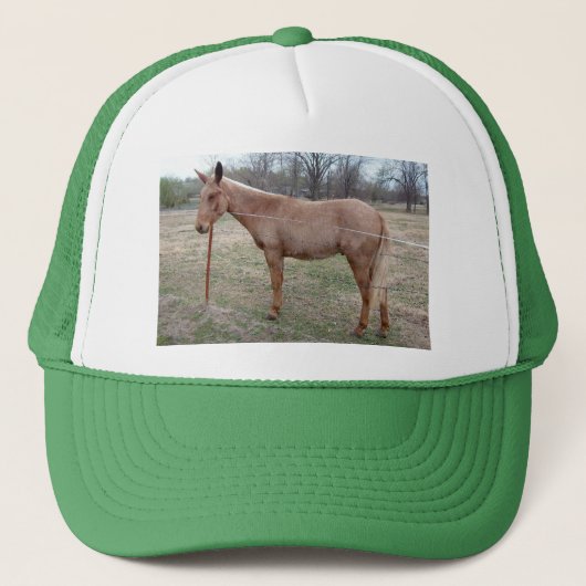 Prachtige muilezel! trucker pet (Voorkant)