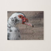 Prachtige Muscovy Hen Duck Legpuzzel (Horizontaal)