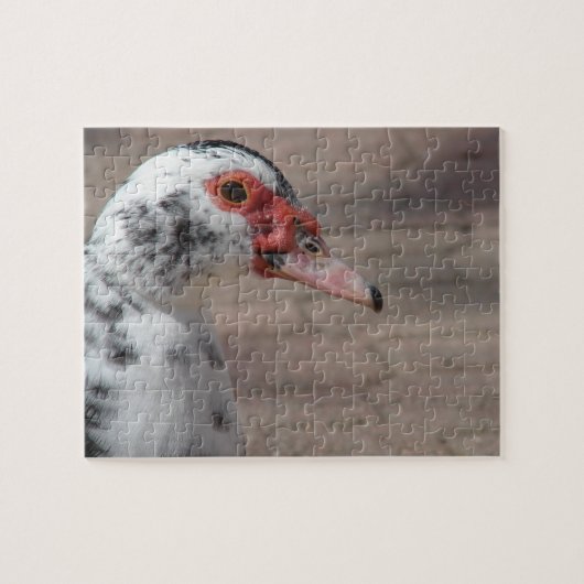 Prachtige Muscovy Hen Duck Legpuzzel (Horizontaal)