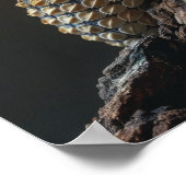 Prachtige National Geographic-kwaliteit landschaps Poster (Hoek)