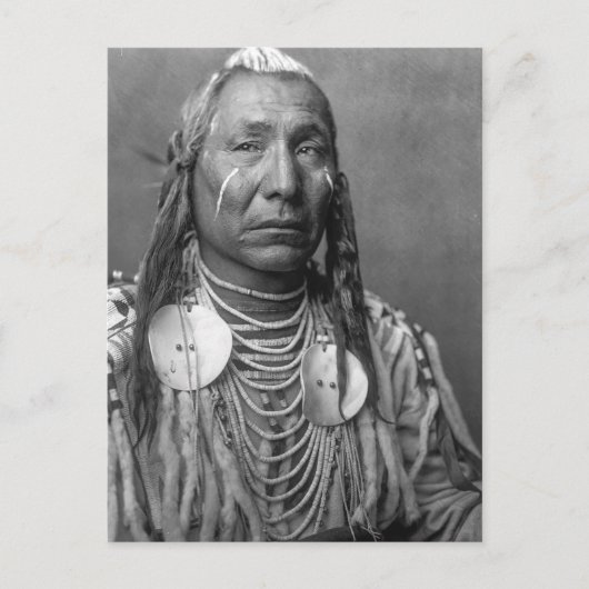 Prachtige  Native American Portret Postcar Briefkaart (Voorkant)