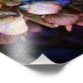 Prachtige Natuur bloemenfotografie Foto Afdruk (Hoek)