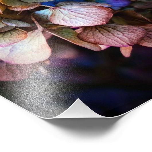 Prachtige Natuur bloemenfotografie Foto Afdruk (Hoek)