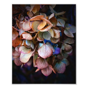Prachtige Natuur bloemenfotografie Foto Afdruk