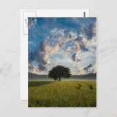 Prachtige natuur briefkaart (Voorkant / Achterkant)