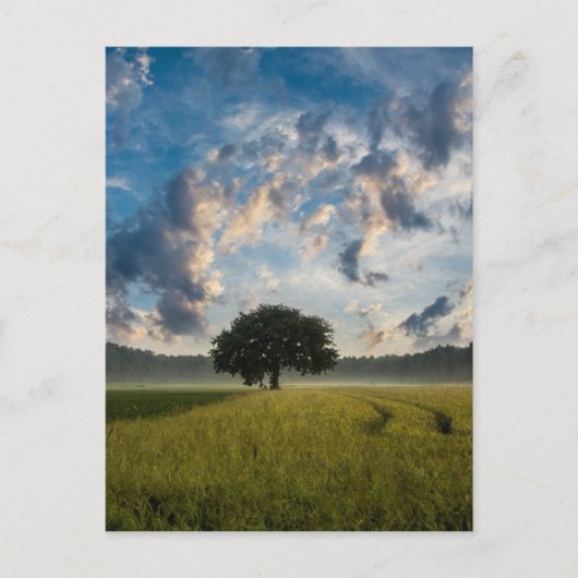 Prachtige natuur briefkaart (Voorkant)