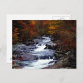 Prachtige natuur briefkaart (Voorkant / Achterkant)