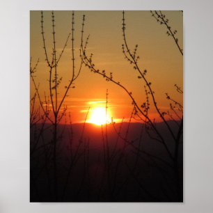 Prachtige Natuur Sunset Poster Print Afbeelding