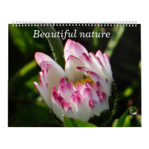Prachtige Natuur voor agenda Kalender