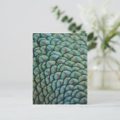 Prachtige natuurlijke texturen - Peacock Feathers Briefkaart (Staand voorkant)