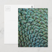 Prachtige natuurlijke texturen - Peacock Feathers Briefkaart (Voorkant / Achterkant)